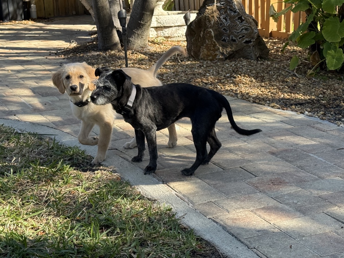Kaia with her friend
