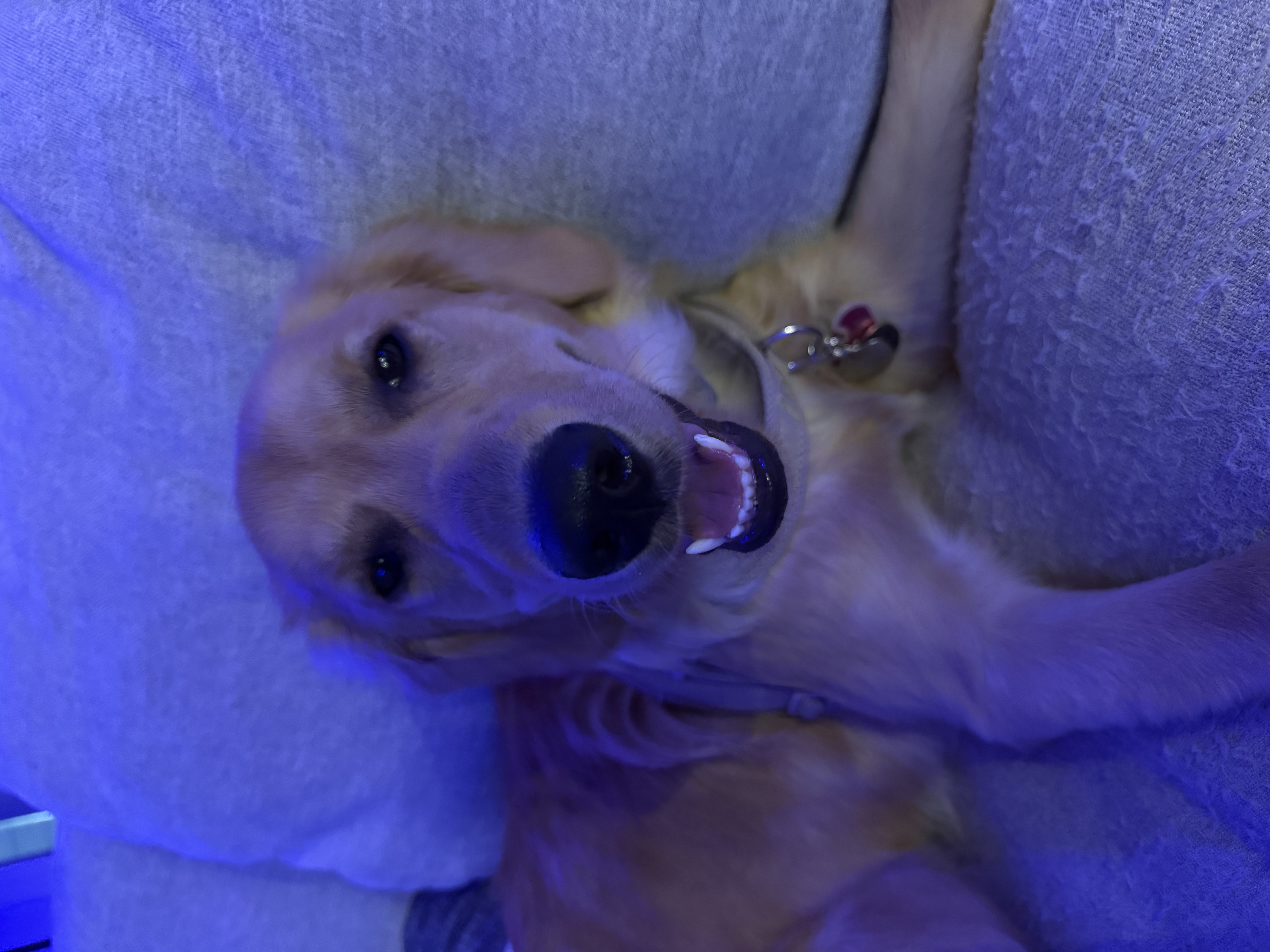 Kaia, May 21