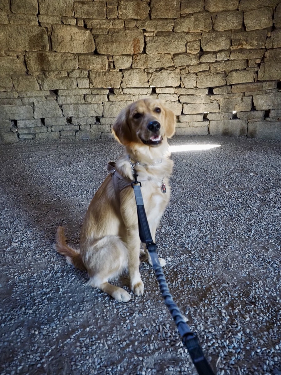 Kaia inside a Ward Charcoal Oven, NV