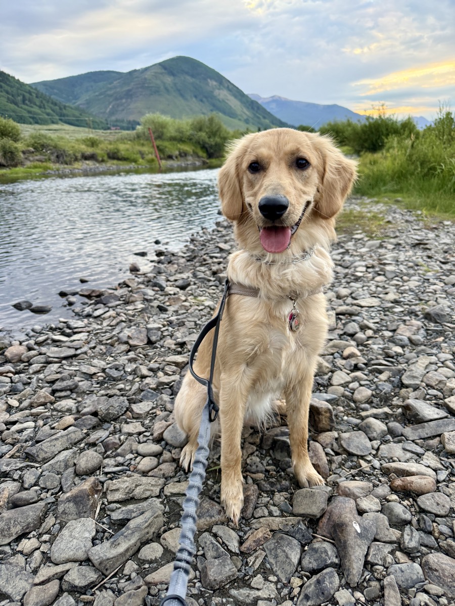 Kaia riverside near Crested Butte