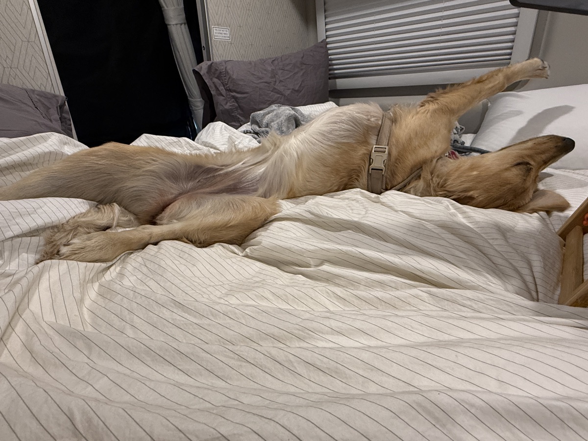 Kaia sprawled out at the campsite