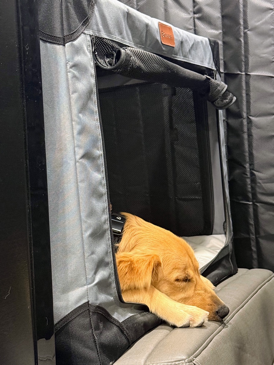 Kaia konked out on a long driving day