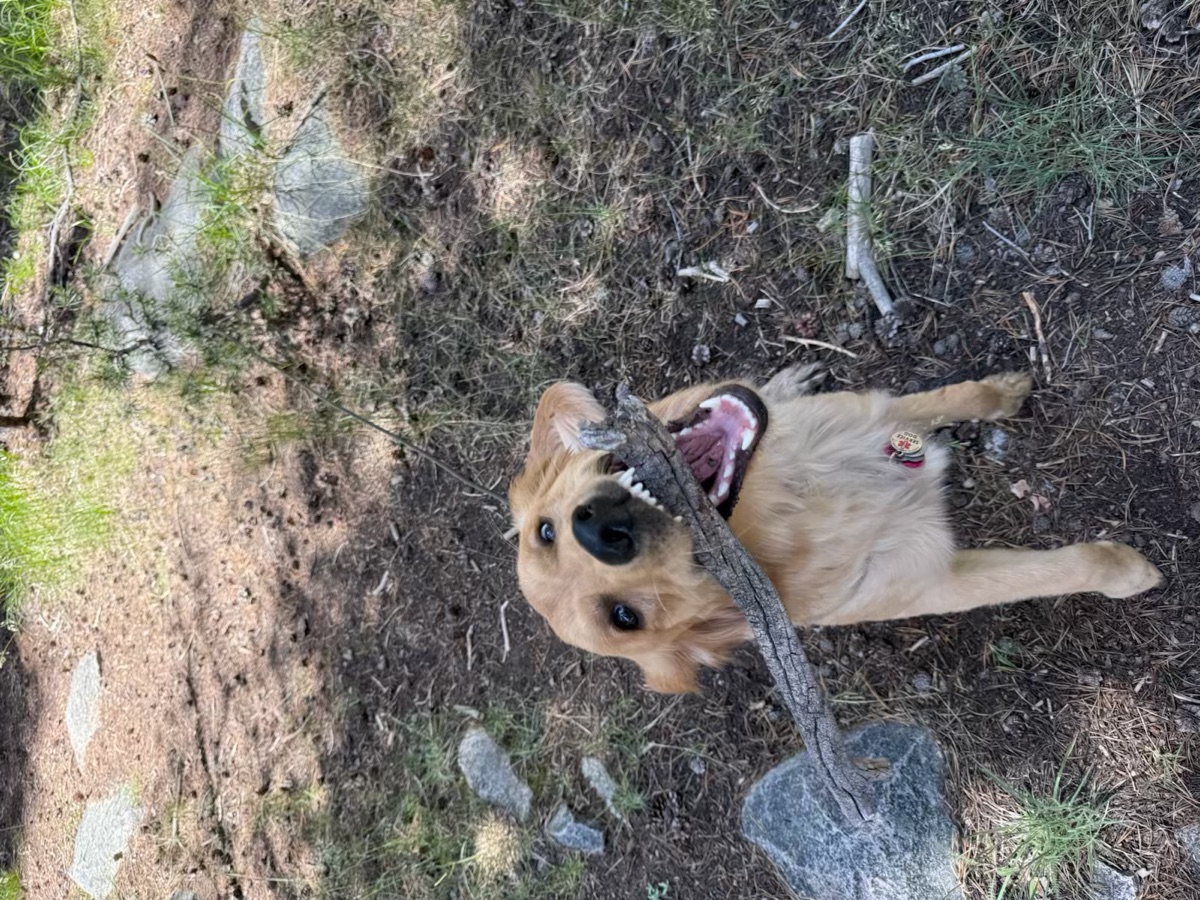 Kaia with a stick