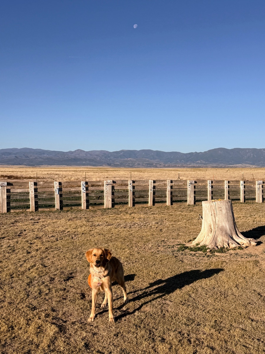 Kaia under a rising moon, Pueblo West