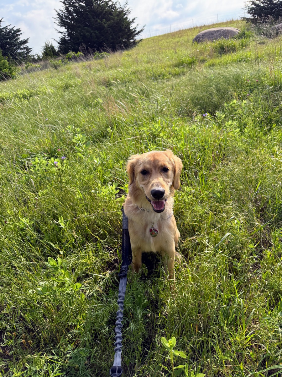 Kaia on the trails at Mushroom Rock, KS