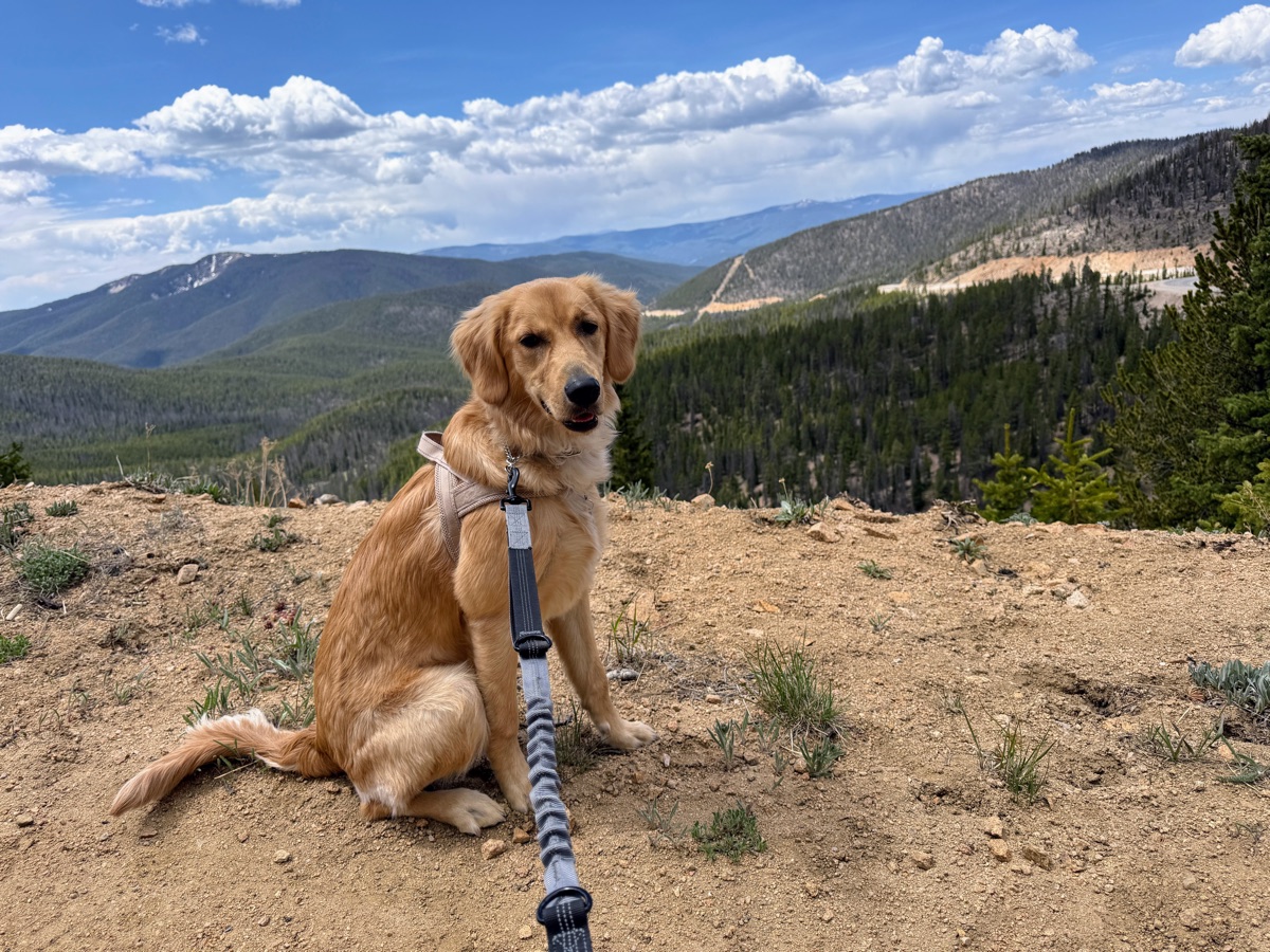 Kaia near the Monarch Pass summit