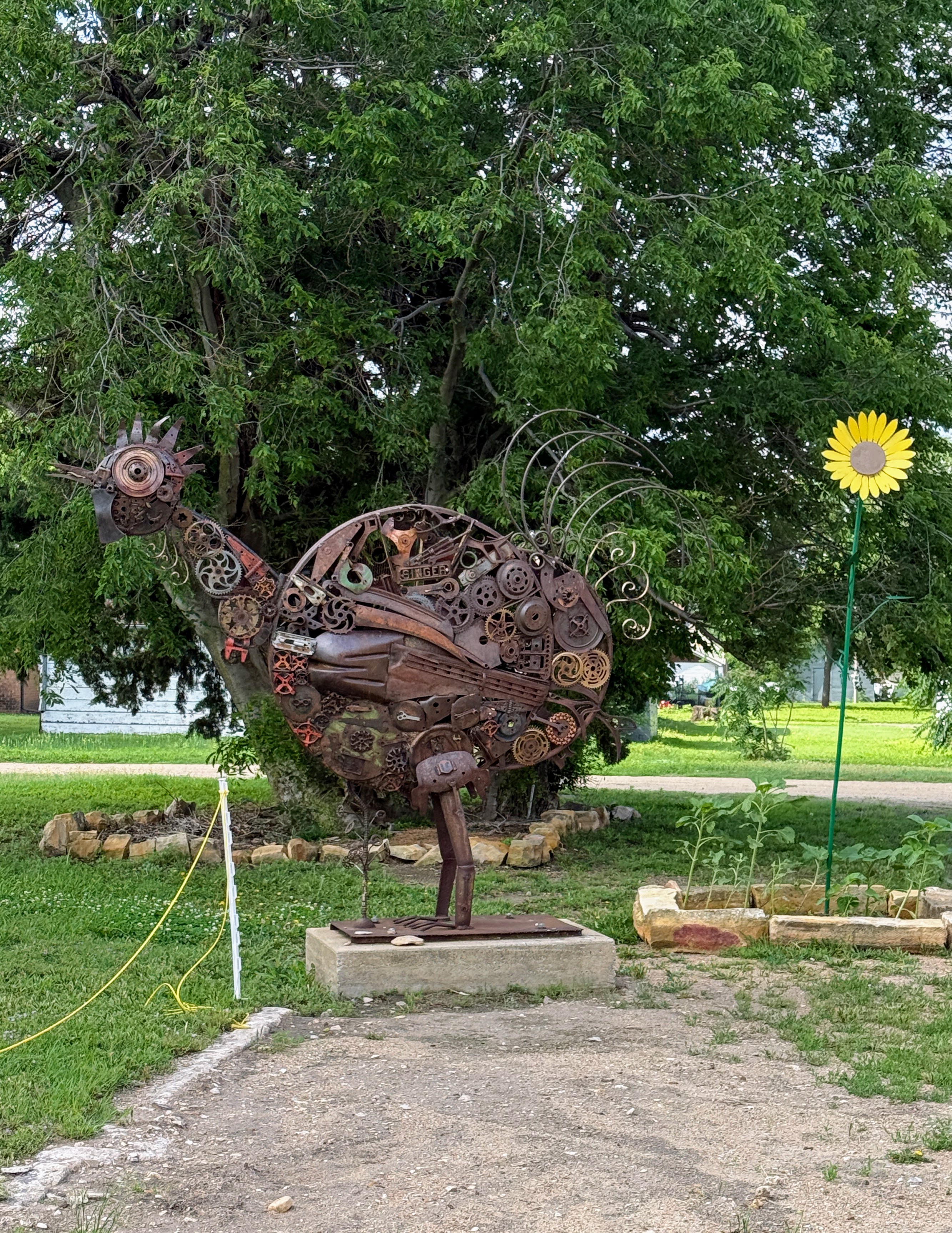 The steampunk chicken in Wilson, KS