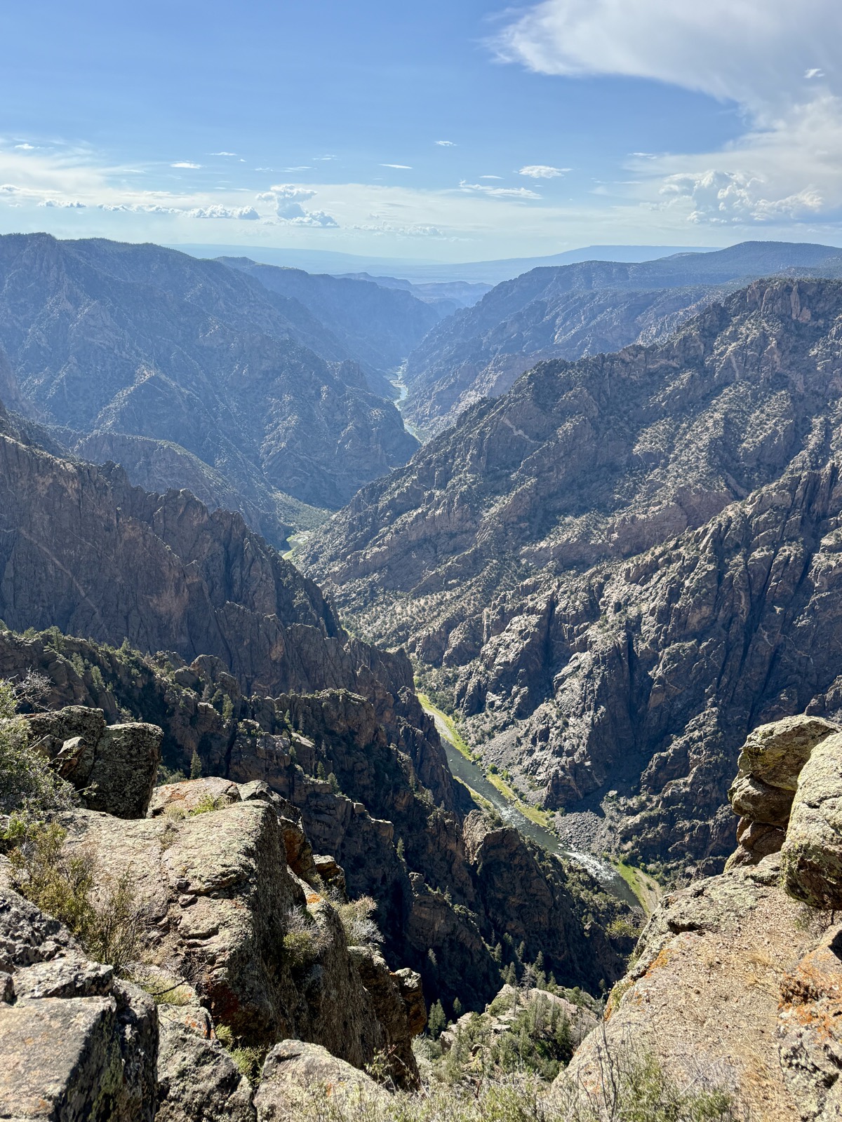Deep, narrow, and a little vertigo-inducing — in the best way.