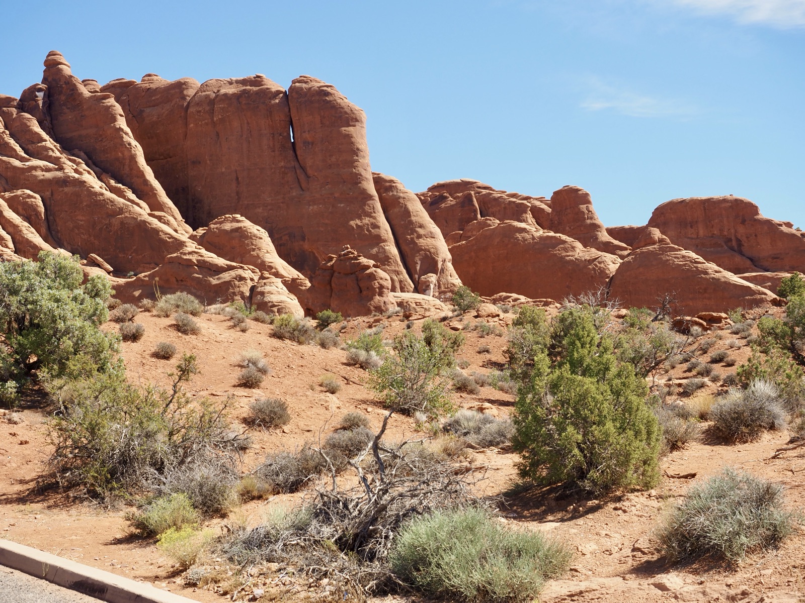 The canyons of Canyonlands National Park stretching to the horizon.