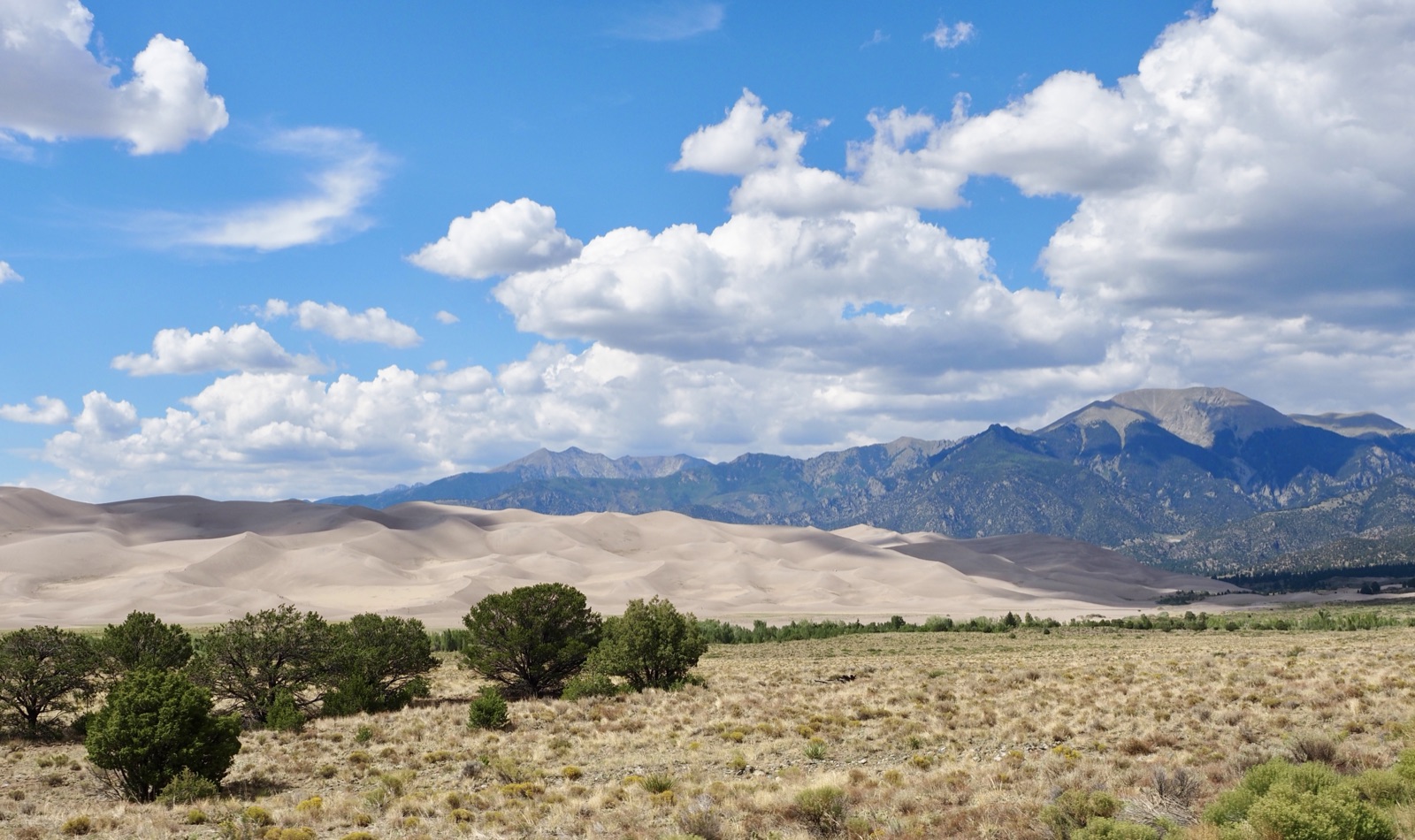 The dunes of Great Sand Dunes National Park against the Sangre de Cristo mountains.