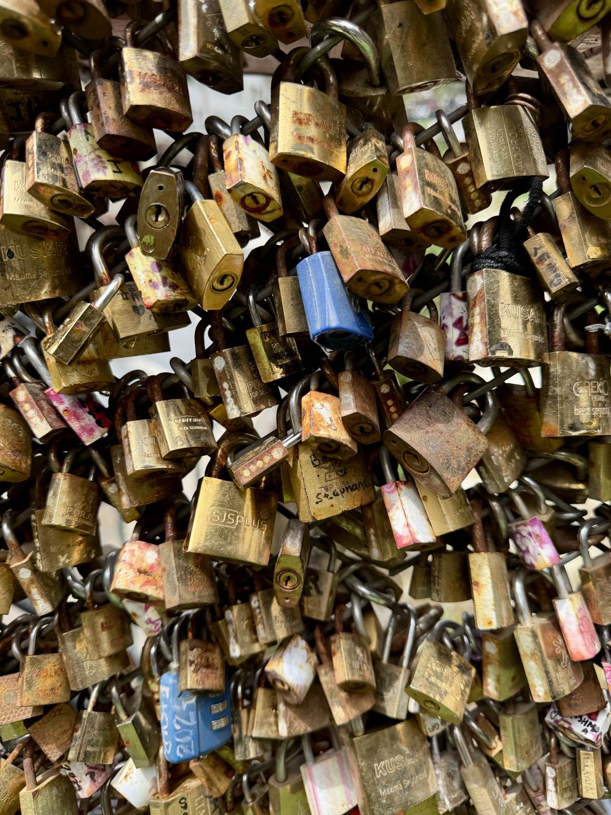 Hundreds of padlocks clipped to a chain-link fence