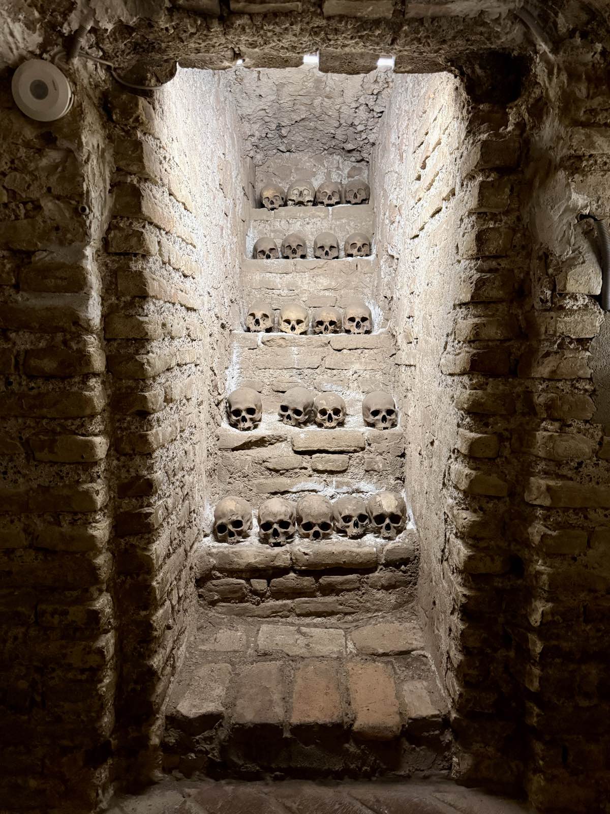 Rows of skulls arranged on brick shelves in the San Francisco catacombs