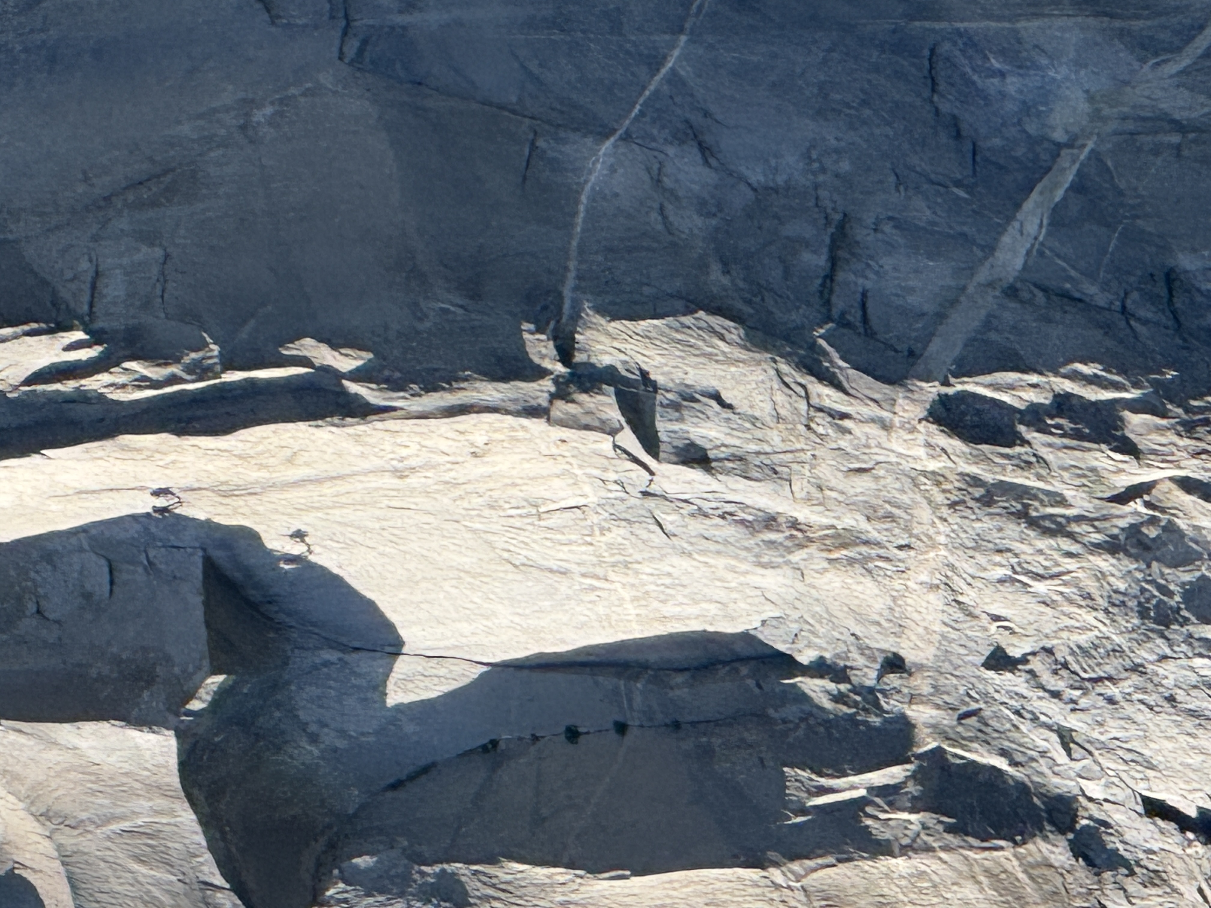 Climbers like specks on the face of El Capitan.