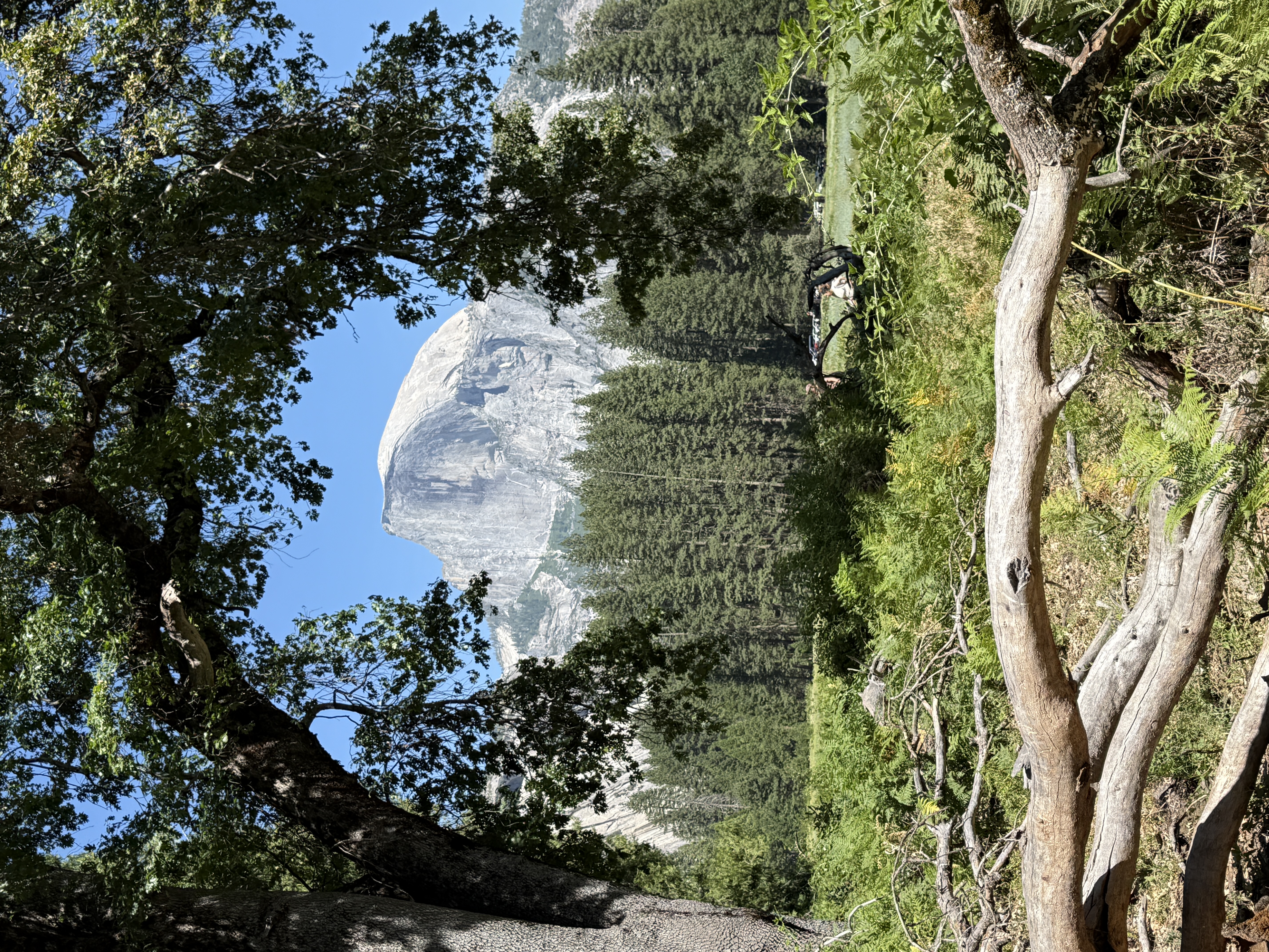 Half Dome — the view that never really lets you rest.