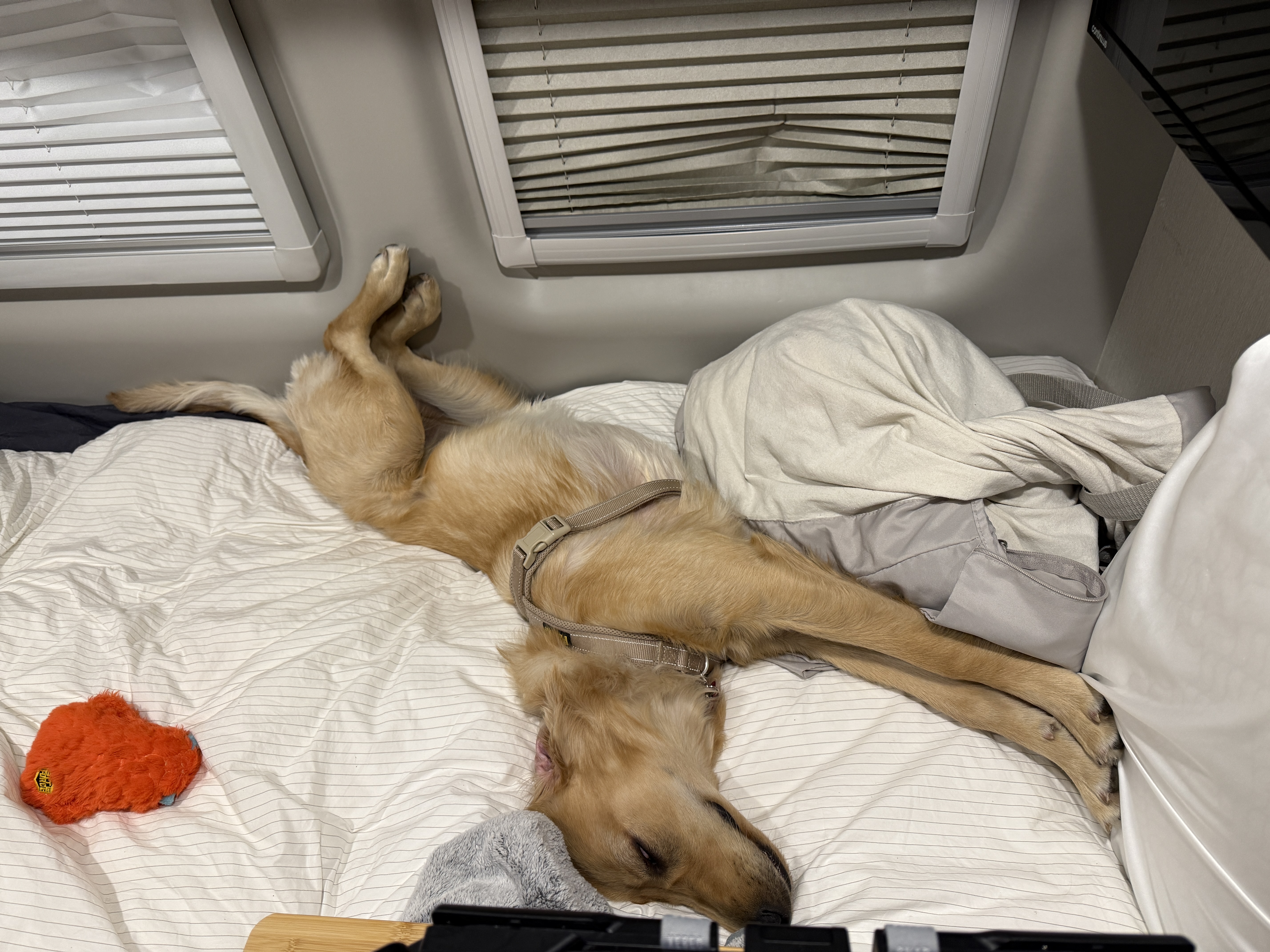 One of us was fully tapped out.