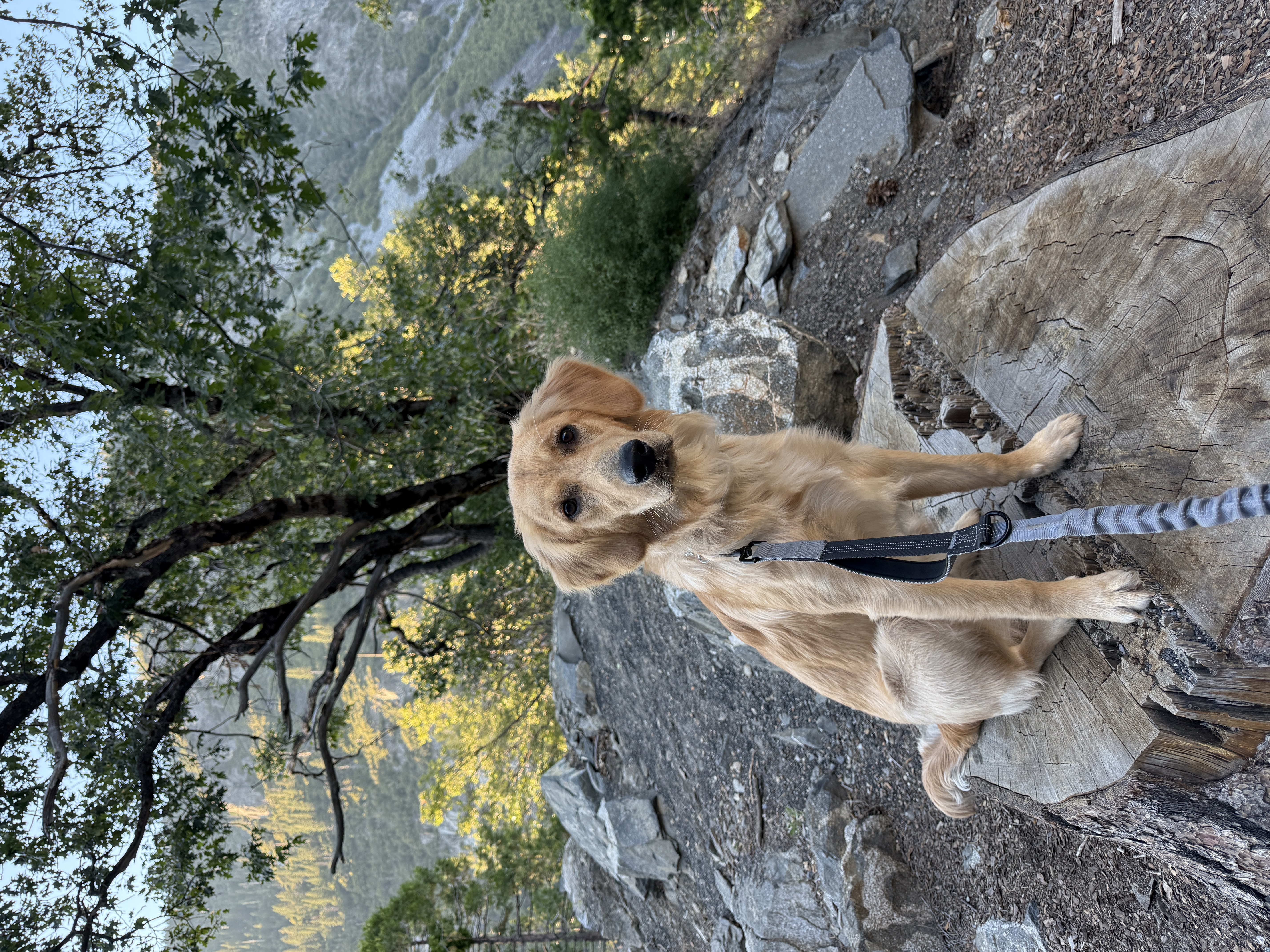 Kaia and me for sunset at Tunnel View.