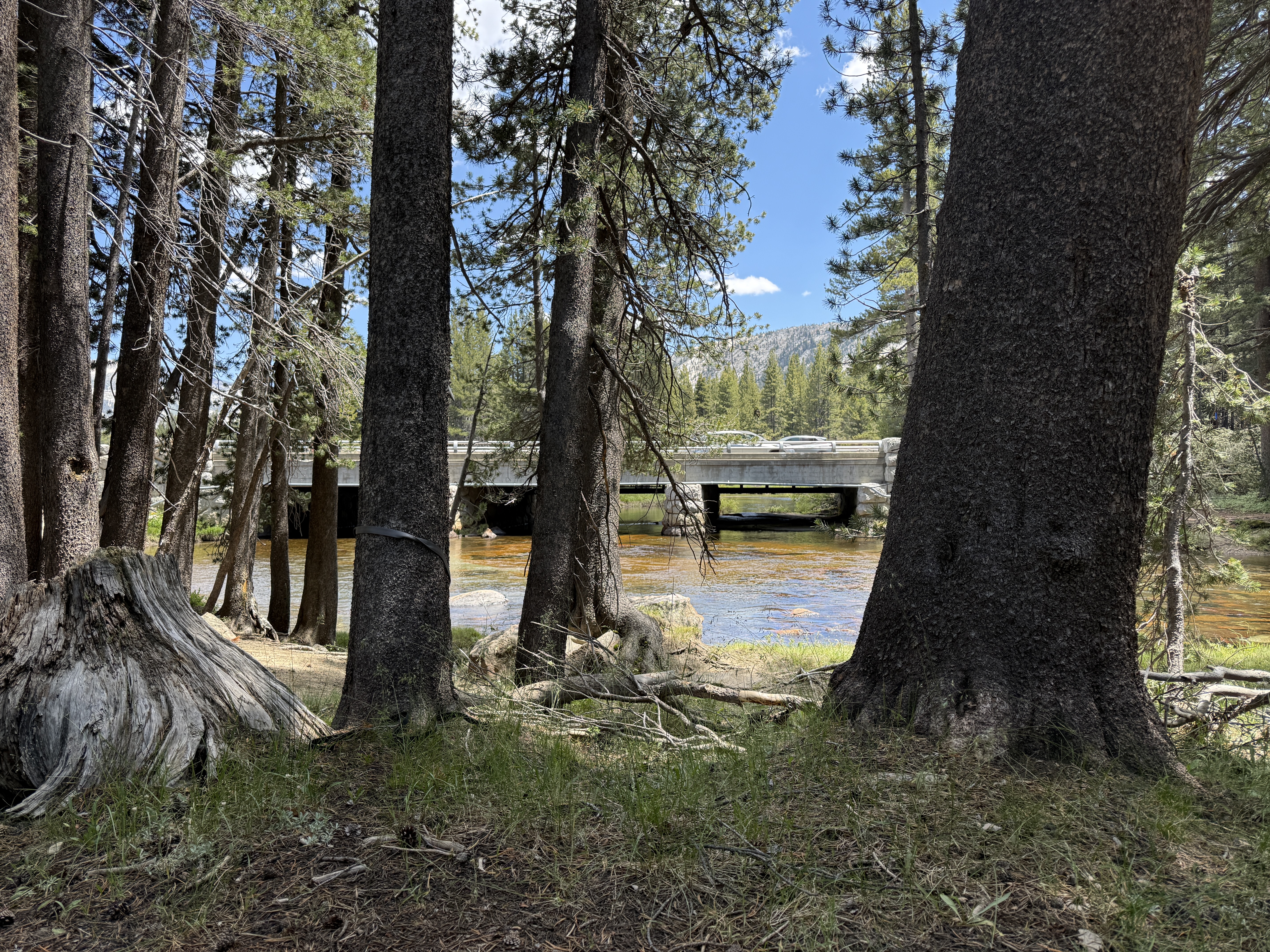 A creekside picnic in Tuolumne Meadows.