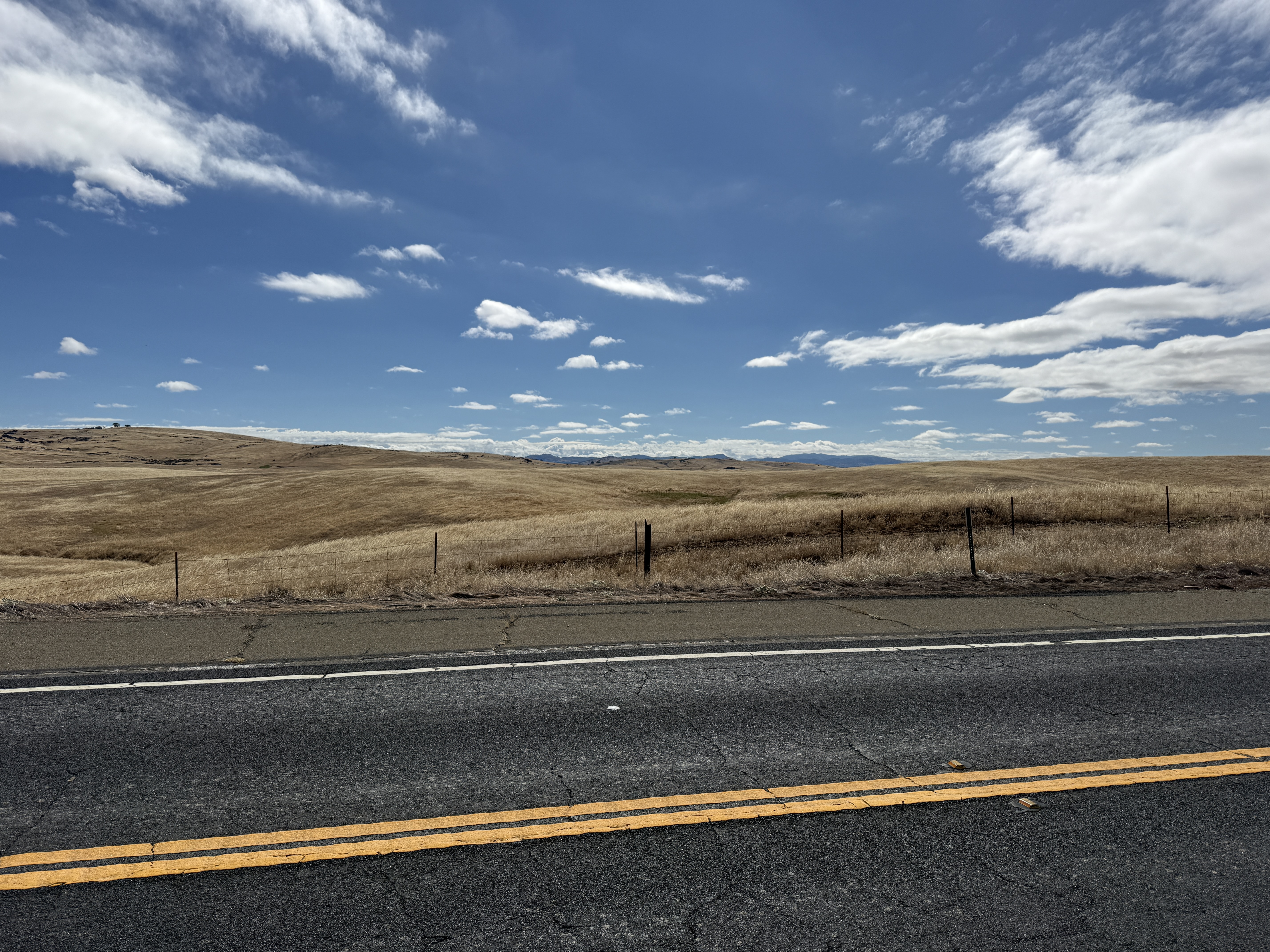California showing off near Groveland.
