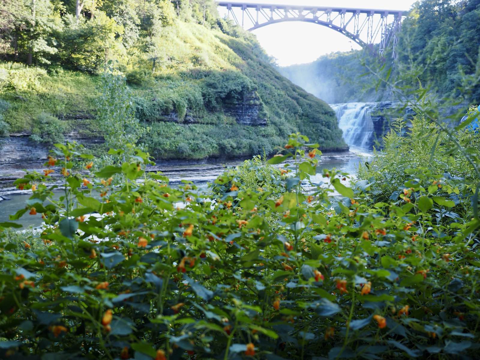 Jewelweed in the foreground with the layered falls going over behind it.